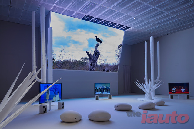 Gallery Preview
