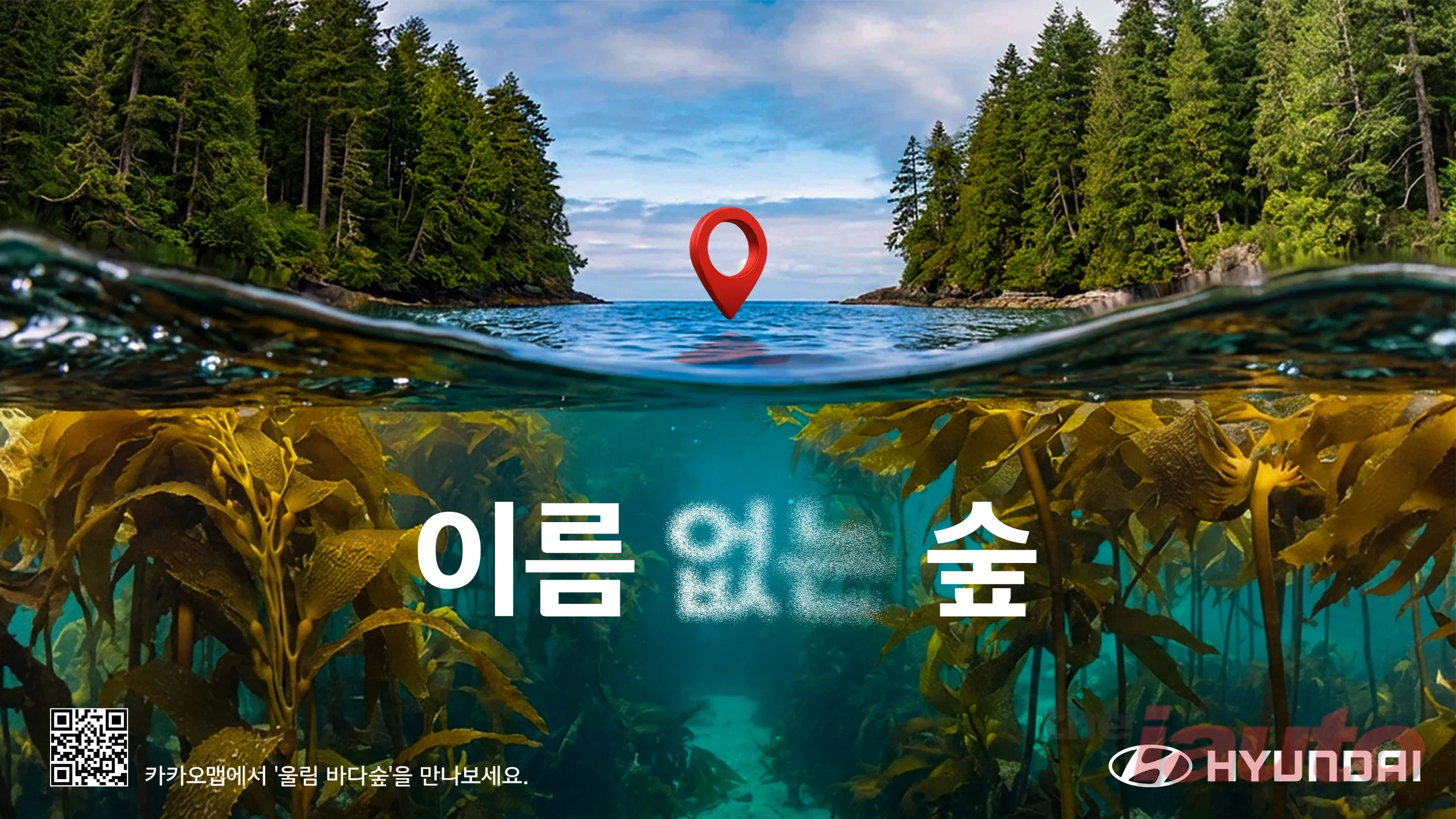 현대차, 바다숲 지키는 ‘이름 없는 숲’ 캠페인 전개