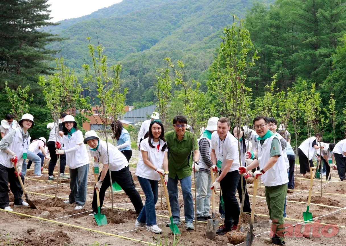 벤츠 사회공헌위원회, 전국 11개 공식 파트너사와 함께 산림보호 임직원 봉사활동